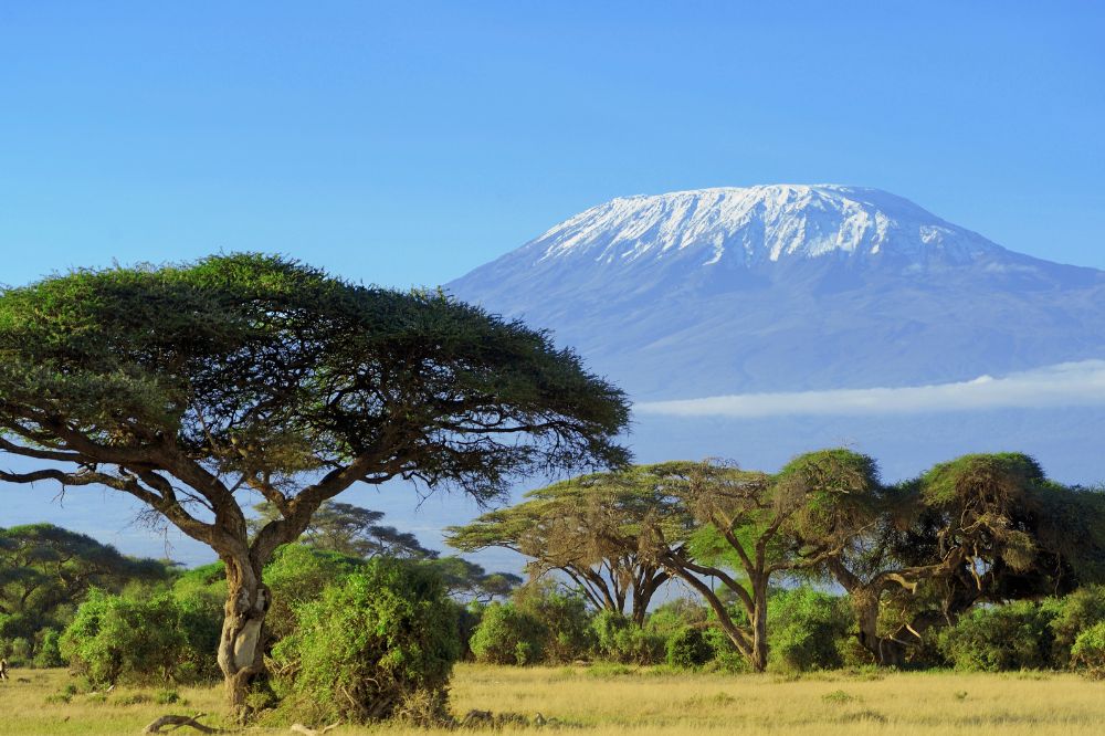 Kenia - Wielkie Safari | Tsavo, Amboseli, Naivasha i Masai Mara - zdjęcie 8