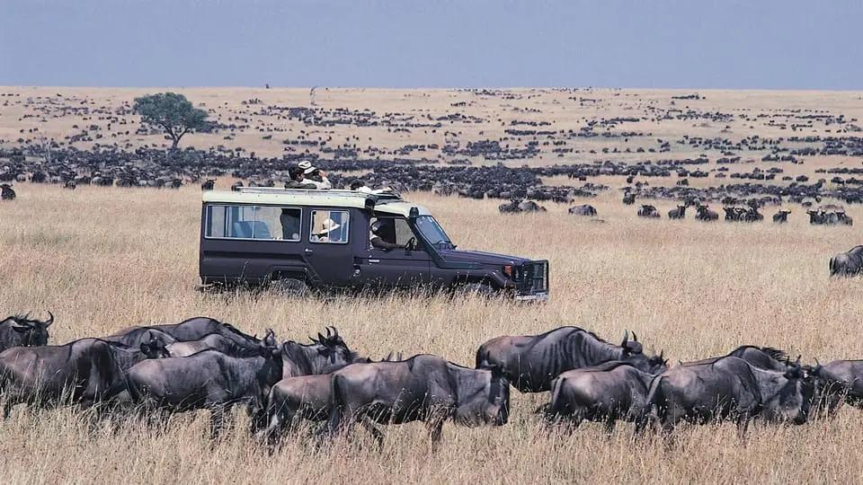 Kenia - Wielkie Safari | Tsavo, Amboseli, Naivasha i Masai Mara - zdjęcie 4
