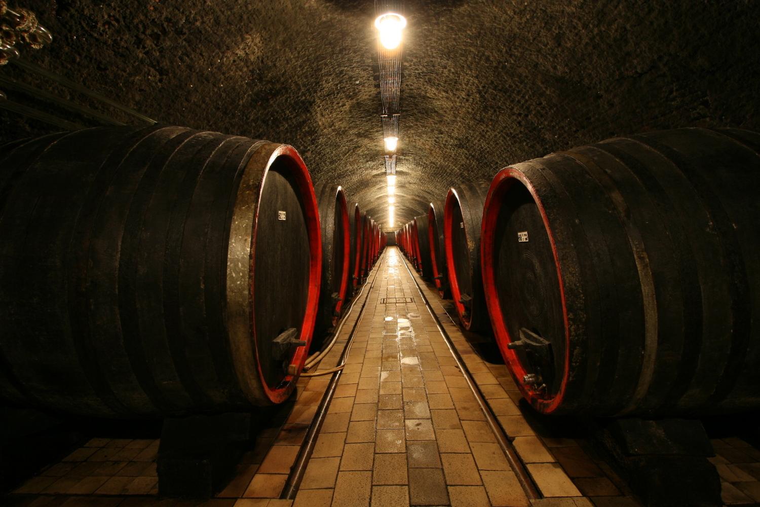 Valtice i Mikulov - zamki, wino i morawski klimat - photo 3