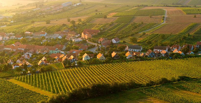 Valtice i Mikulov - zamki, wino i morawski klimat - photo 7