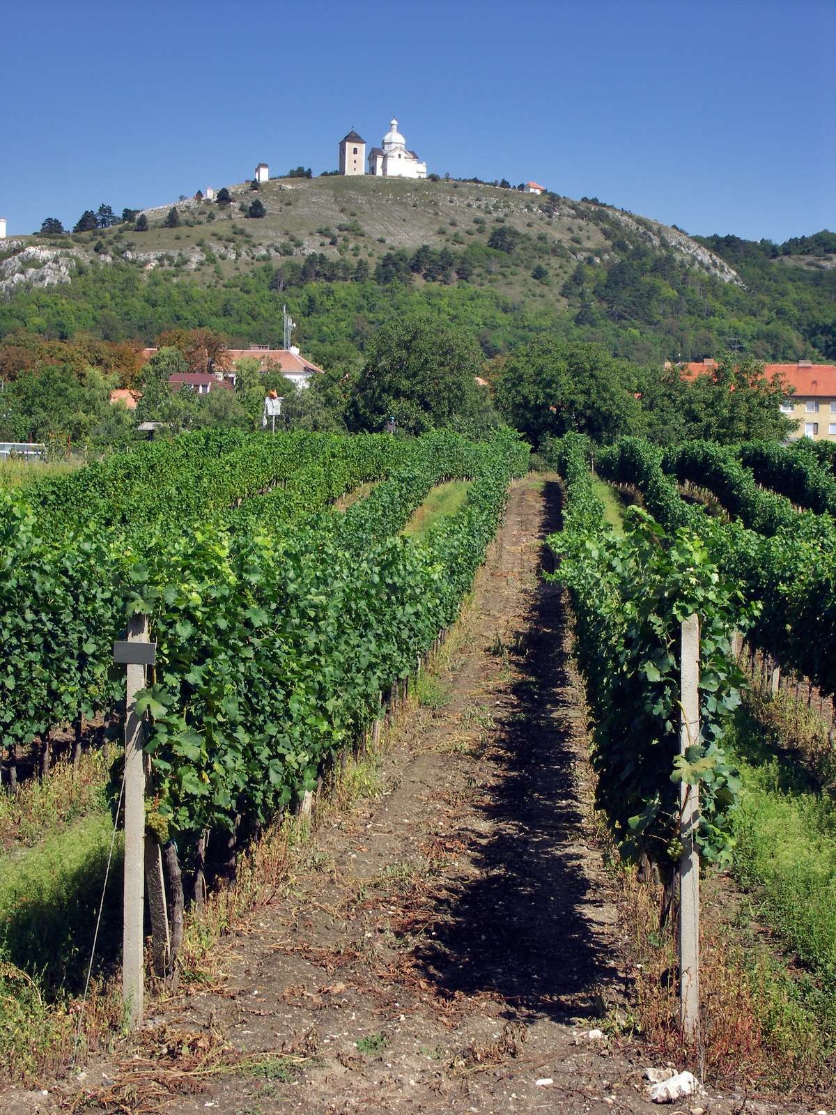 Valtice i Mikulov - zamki, wino i morawski klimat - photo 8
